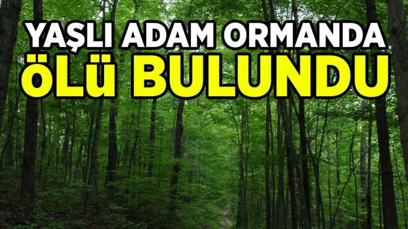 Yaşlı adam ormanda ölü bulundu
