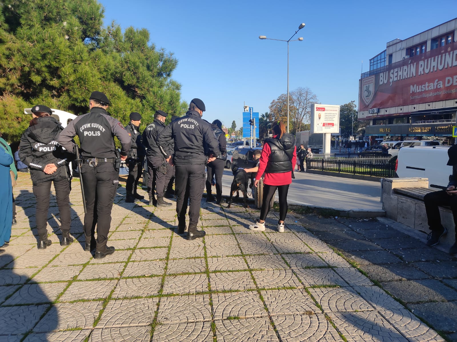 Samsun Cumhuriyet Meydanı'nda köpek paniği