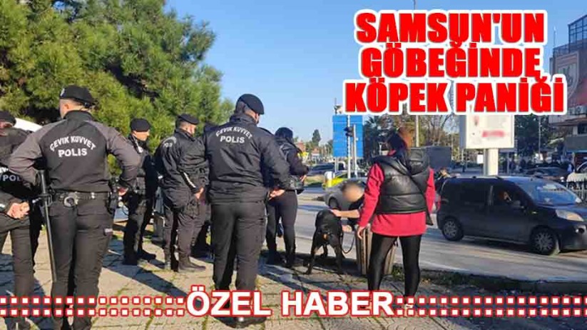 Samsun Cumhuriyet Meydanı'nda köpek paniği