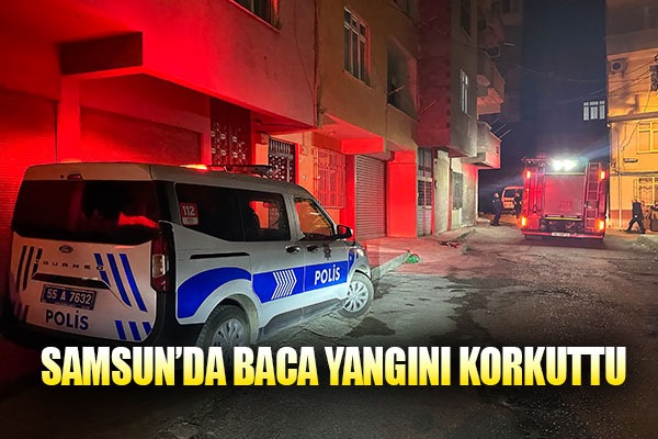 Samsun'da baca yangını korkuttu