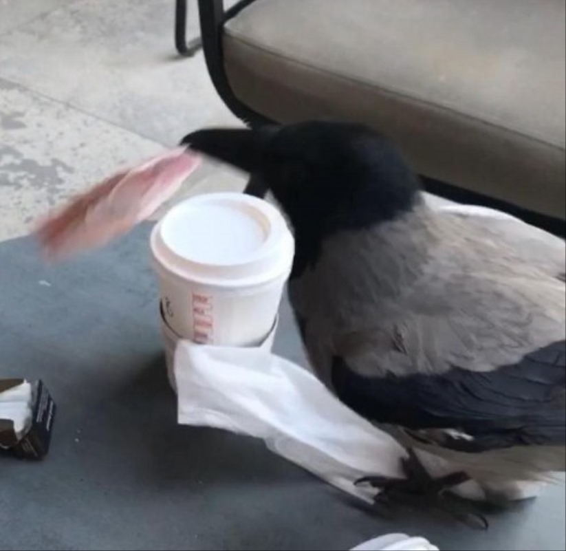 Samsun'da hırsız sandılar! Gerçek çok başka çıktı