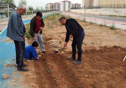 Vatandaşlardan yüksek fiyatlı sebzeye karşı çözüm
