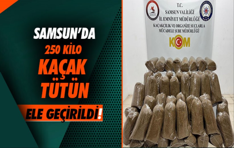 Samsun'da 250 kilo kaçak tütün ele geçirildi