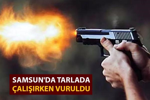 Samsun'da tarlada çalışırken vuruldu