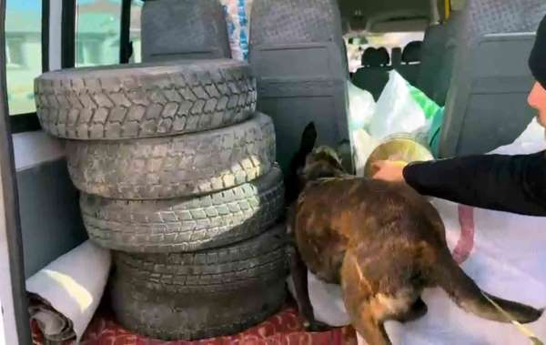 10 kilo uyuşturucu yakalattı, 'Şeker sanıyordum' savunması yaptı