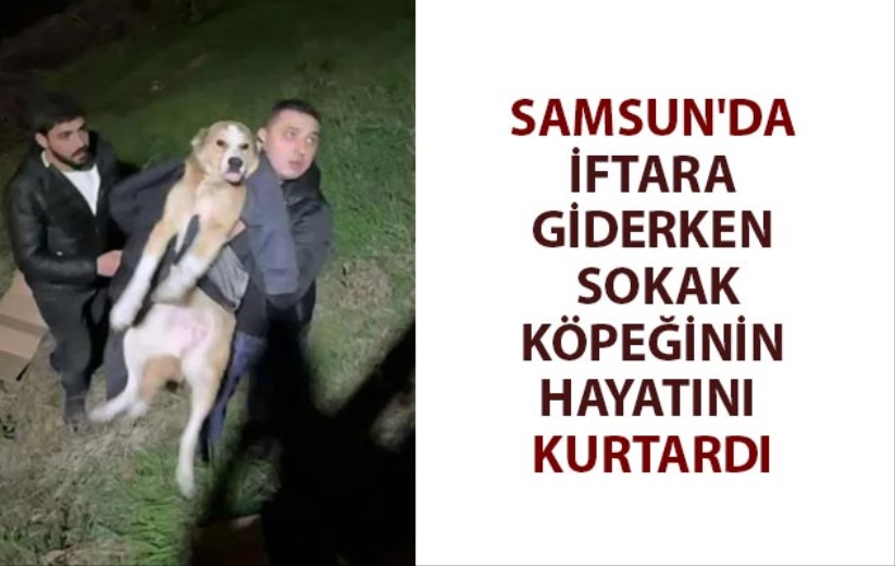 Samsun'da iftara giderken sokak köpeğinin hayatını kurtardı