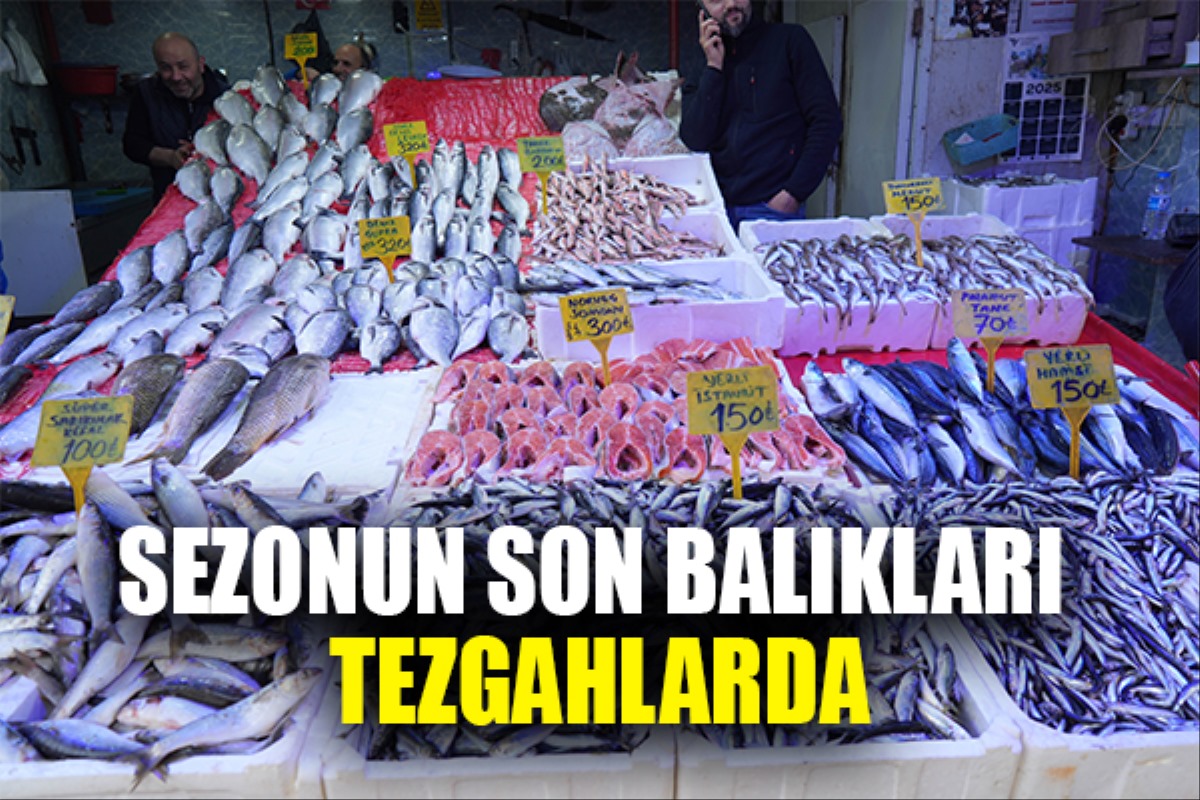 Sezonun son balıkları tezgahlarda