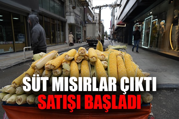 Erkenci süt mısır tezgahta: Közde 60, haşlamada 50 TL