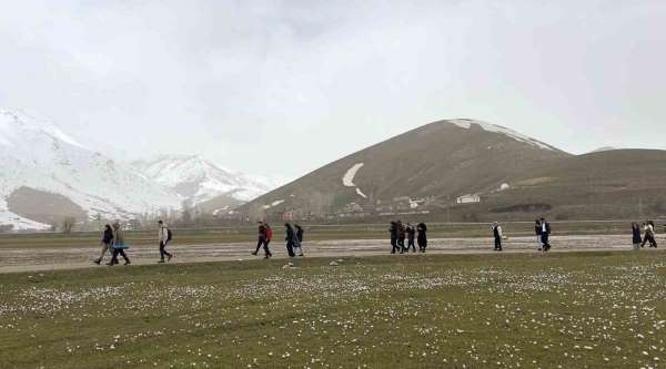 Üniversite öğrencilerinden çiğdemler arasında doğa yürüyüşü
