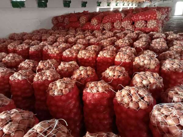 Nisan ayında en çok kuru soğan pahalandı - İstanbul haber