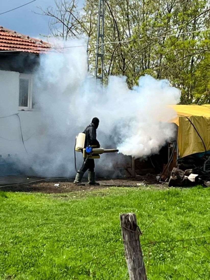 Samsun'da kokarca mücadelesi: 144 mahallede 31 bin hane ilaçlandı