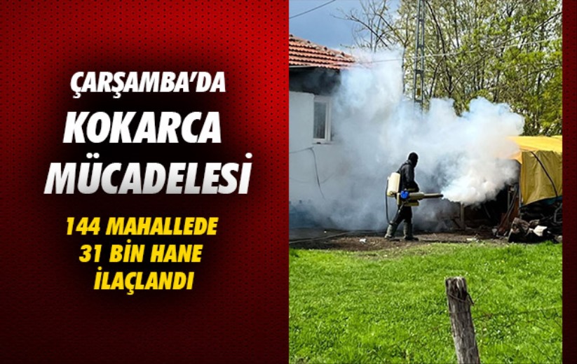 Samsun'da kokarca mücadelesi: 144 mahallede 31 bin hane ilaçlandı