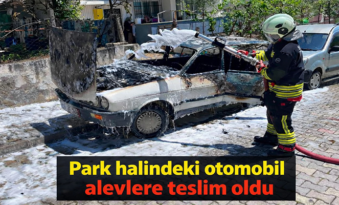 Park halindeki otomobil alevlere teslim oldu