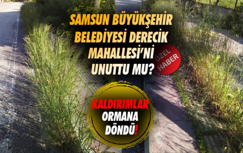 Samsun Büyükşehir Belediyesi Derecik Mahallesi'ni unuttu mu?