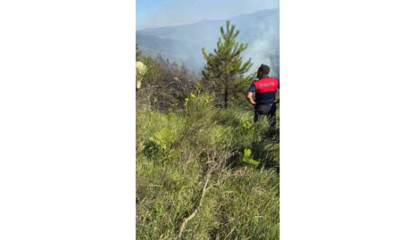Sinop'ta çıkan orman yangını büyümeden söndürüldü