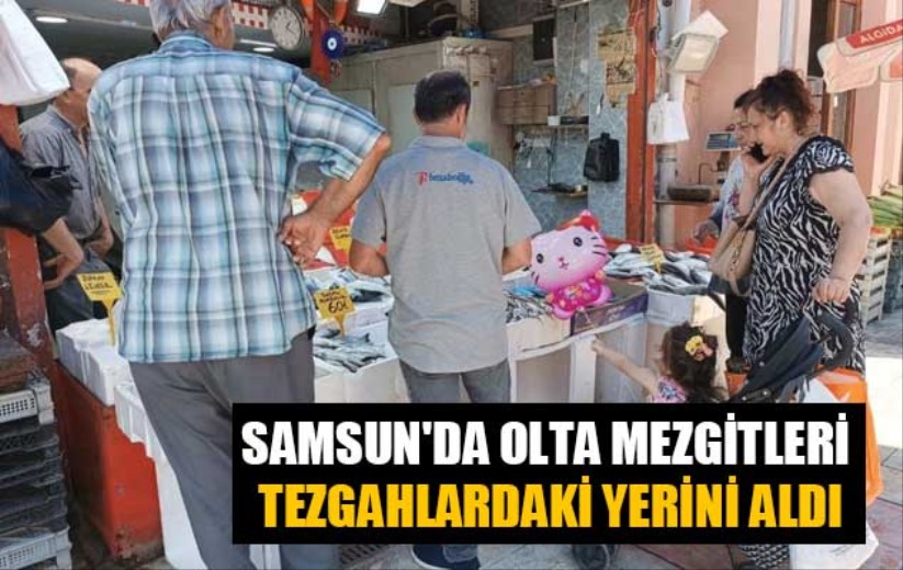 Samsun'da Olta mezgitleri tezgahlardaki yerini aldı