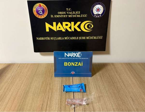 Ordu'da uyuşturucu operasyonlarında 2 tutuklama