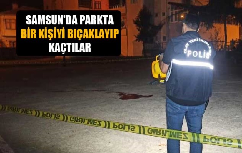 Samsun'da parkta bir kişiyi bıçaklayıp kaçtılar