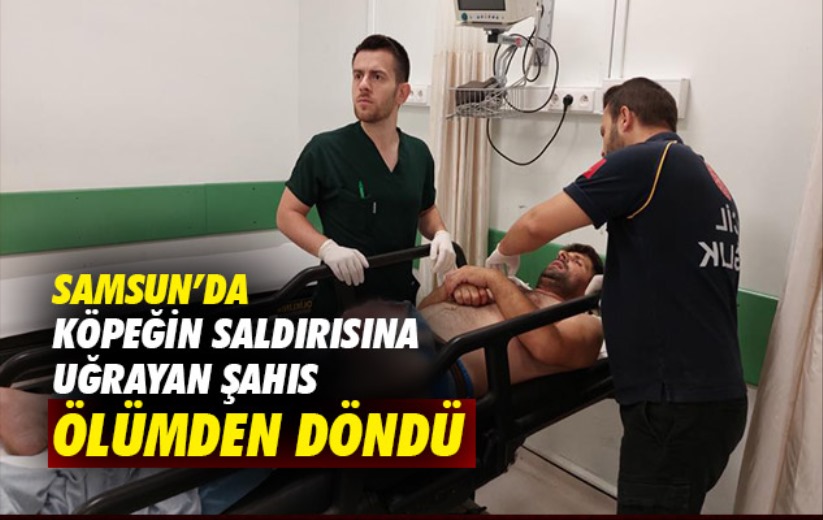 Samsun'da köpeğin saldırısına uğrayan şahıs ölümden döndü!