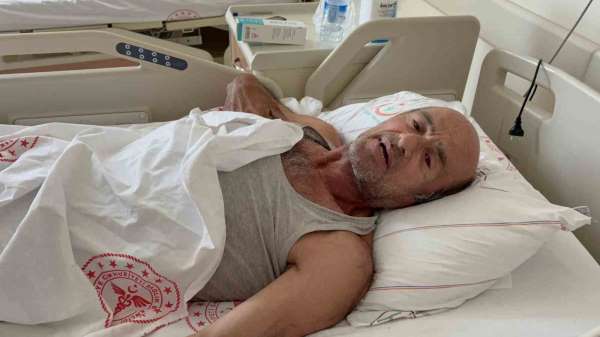 Ayı saldırısına uğradı: Canını ağaca tırmanarak kurtardı