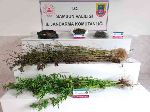 Samsun'da jandarma 2 kilo 355 gram esrar ele geçirdi: 2 gözaltı