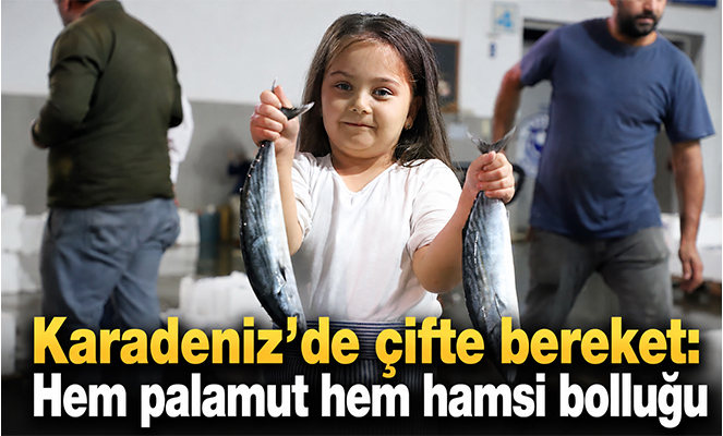 Karadeniz'de çifte bereket: Hem palamut hem hamsi bolluğu