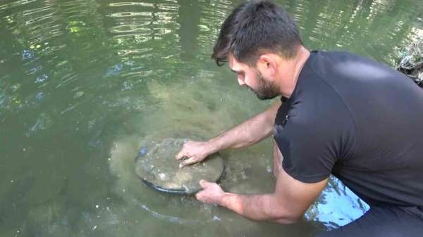 Türkiye'de altın çok arayan yok...Derelerde her gün 5 gram altın çıkarıyorlar