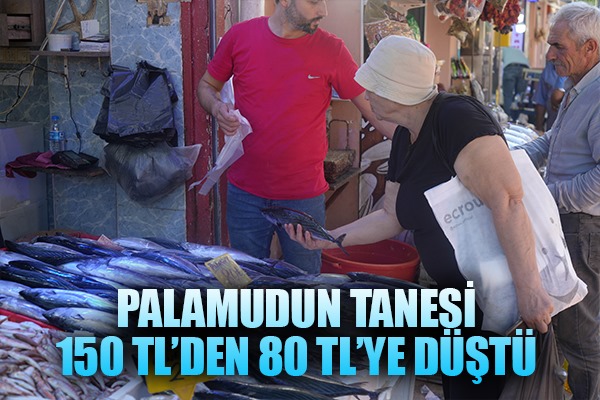 Palamudun tanesi 150 TL'den 80 TL'ye düştü