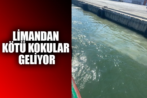 Samsun'da limandan kötü kokular geliyor