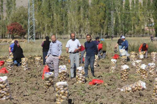 Sivaslı patates üreticisi aracıları ortadan kaldırdı, kendi üretip kendi satıyor