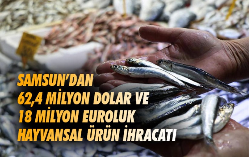 Samsun'dan 62,4 milyon dolar ve 18 milyon euroluk hayvansal ürün ihracatı