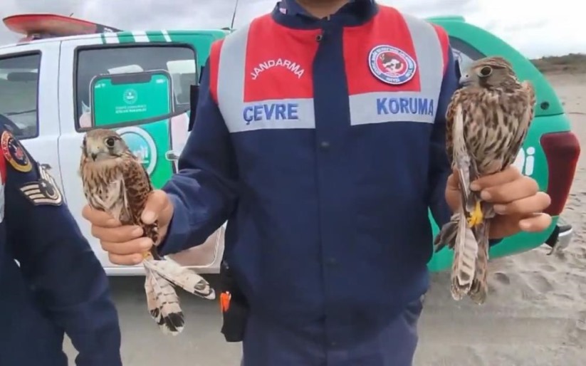 Samsun'da Kuş Cenneti'nde usulsüz yakalanan kuşlar doğaya salındı