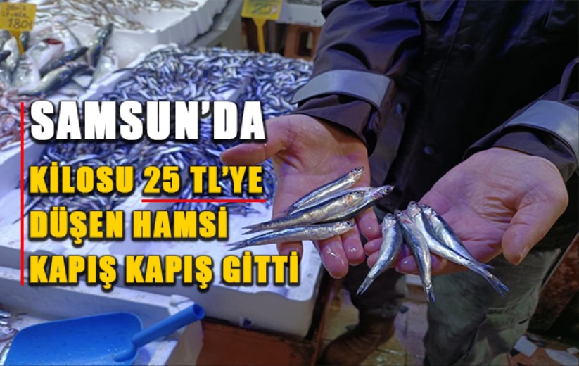 Bu sezon ilk: Kilosu 25 TL'ye düşen hamsi kapış kapış gitti