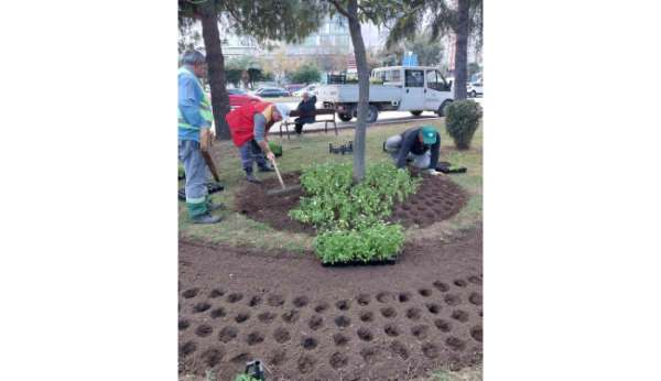 İlkadım'a 100 bin mevsimlik çiçek