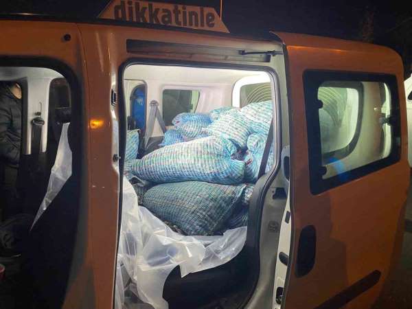 Samsun'da 300 kilo kaçak midye ele geçirildi