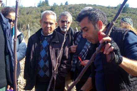 Menteşe'de ceviz yetiştiriciliği kursu