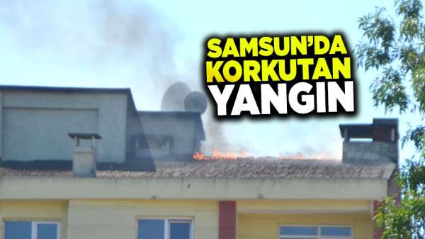 Samsun'da korkutan yangın!
