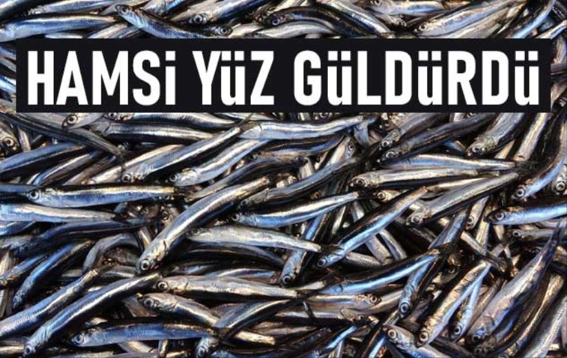 Karadeniz'de bu sezon hamsi yüz güldürdü