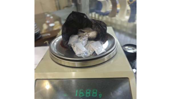 Ordu'da uyuşturucu operasyonu: 2 tutuklama