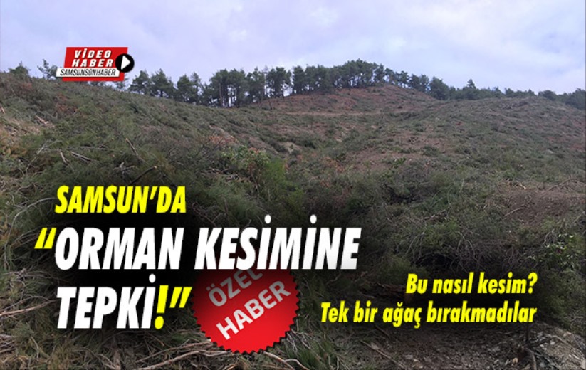 Samsun'da 'Orman Kesimine Tepki!'