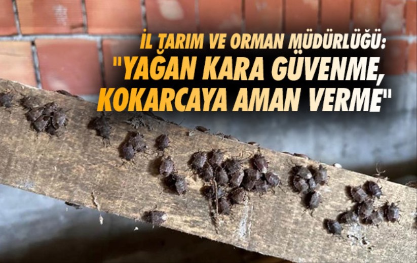 İl Tarım ve Orman Müdürlüğü: 'Yağan kara güvenme, kokarcaya aman verme'