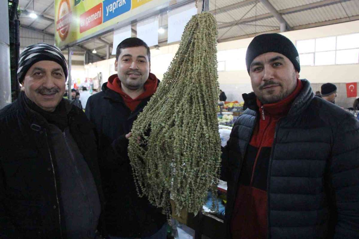 Amasya'da çiçek bamyanın fiyatı gram altını geçti, kilosu 3 bin 500 TL'den satılıyor