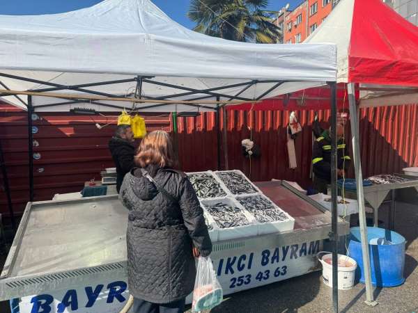 Zonguldak'ta tezgahlarda mezgit bolluğu