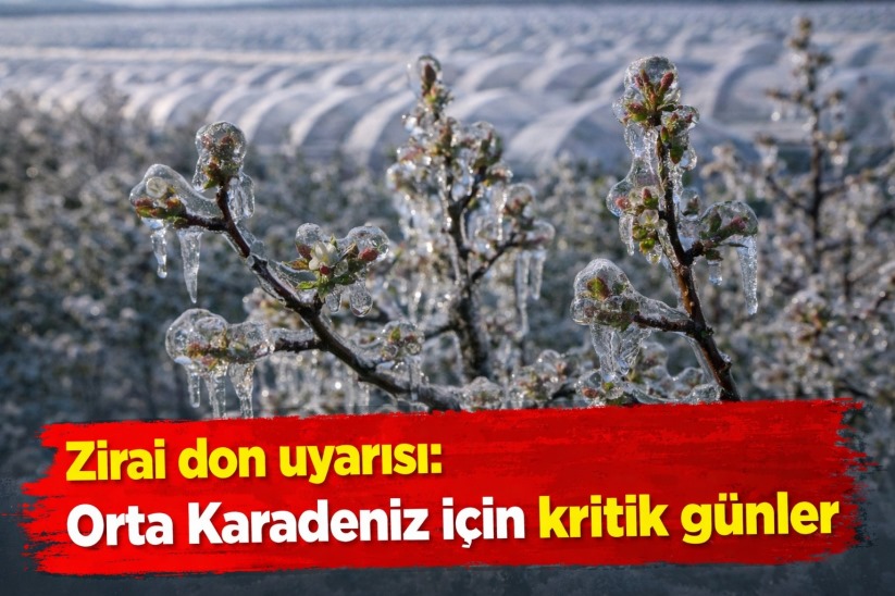 Zirai don uyarısı: Orta Karadeniz için kritik günler