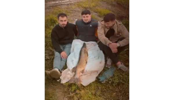 Tuttuğu 14 kiloluk turnayı bebek gibi kucağında salladı