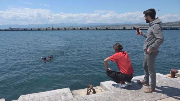 Belgeselcilerin drone'u martıların hışmına uğradı