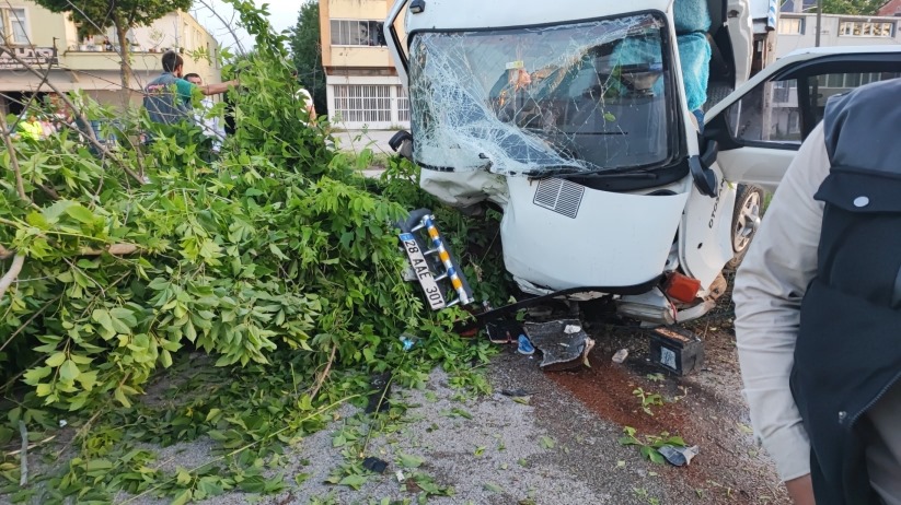 Samsun'da ağaca çarpan kamyonet ikiye bölündü