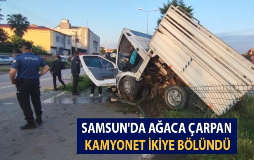Samsun'da ağaca çarpan kamyonet ikiye bölündü