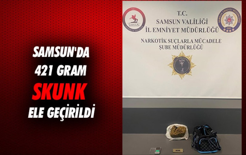 Samsun'da 421 gram skunk ele geçirildi