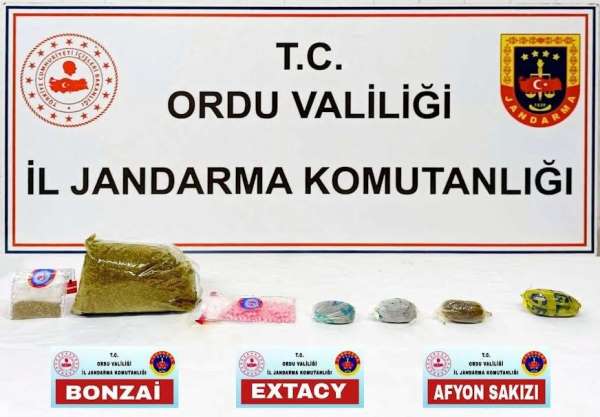 Ordu'da uyuşturucu operasyonu: 1 tutuklama